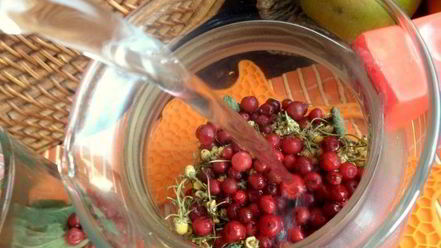 Рецепт бруснично-ромашкового чай с мятой