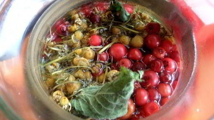 Рецепт бруснично-ромашкового чай с мятой