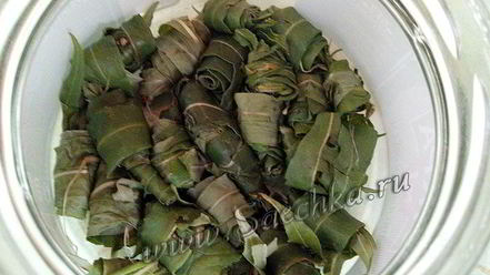 Рецепт чая из иван-чая