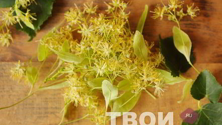 Рецепт чая из липы