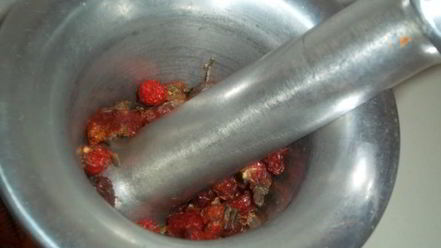 Рецепт чая из плодов шиповника с мелиссой