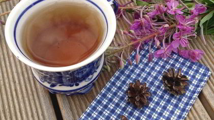 Рецепт Чая кипрей