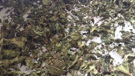 Рецепт чая кипрей