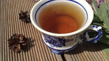 Рецепт чая кипрей