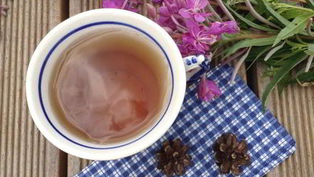 Рецепт чая кипрей