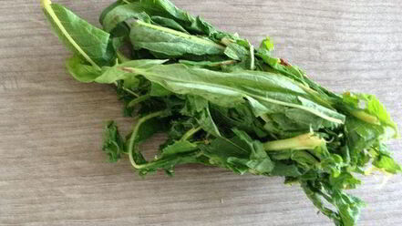 Рецепт чая кипрей