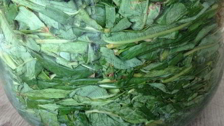 Рецепт чая кипрей