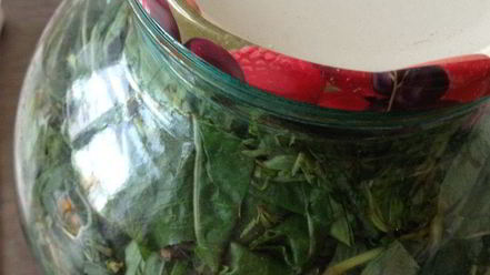 Рецепт чая кипрей