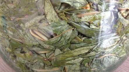 Рецепт чая кипрей