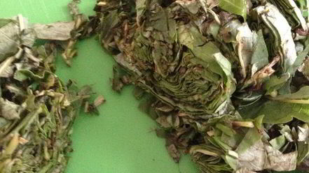 Рецепт чая кипрей