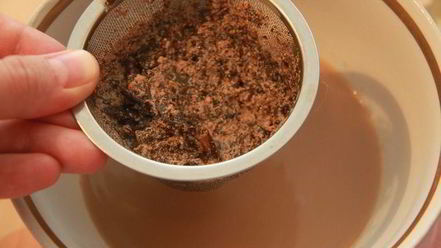 Рецепт джомбы — калмыцкого чая