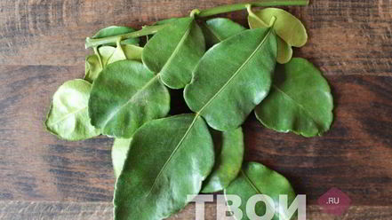 Рецепт фиточая