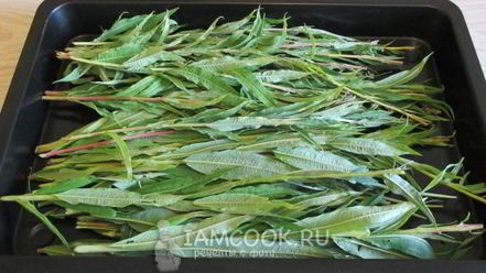 Рецепт иван-чая ферментированного гранулированного