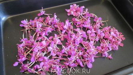 Рецепт иван-чая ферментированного гранулированного