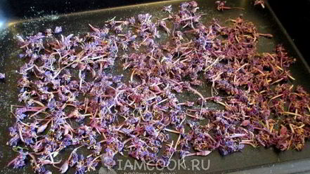 Рецепт иван-чая ферментированного гранулированного