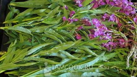 Рецепт ивана чая ферментированного крупнолистового