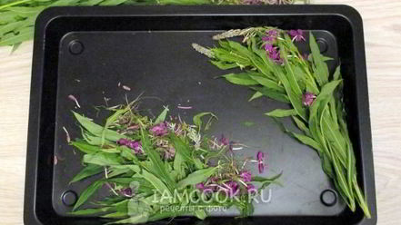 Рецепт ивана чая ферментированного крупнолистового