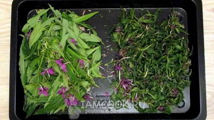 Рецепт ивана чая ферментированного крупнолистового