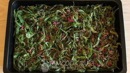 Рецепт ивана чая ферментированного крупнолистового