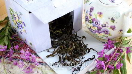 Рецепт ивана чая ферментированного крупнолистового