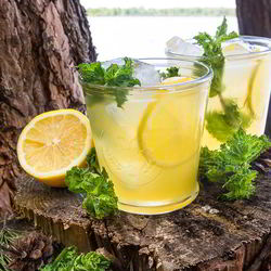 Рецепт Холодного зеленого чая с лимоном и медом