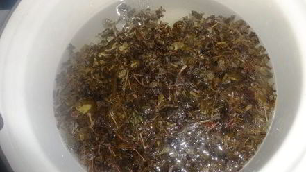 Рецепт холодного зеленого чая с ромашкой и мелиссой