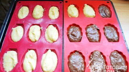 Рецепт мадлена на чайнома масле