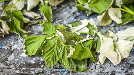 Рецепт малинового чая