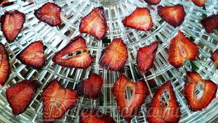 Рецепт сушеной клубники на чай