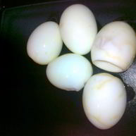 Рецепт Яиц с ароматом чая