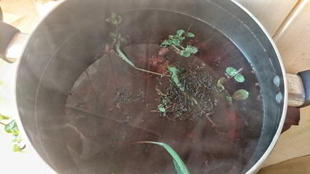 Рецепт чайного напитка с ежевикой и мятой