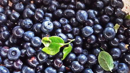 Рецепт чернично-яблочного напиток