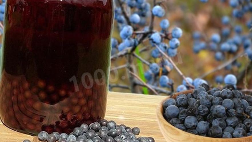 Рецепт домашнего тернового вина из терна