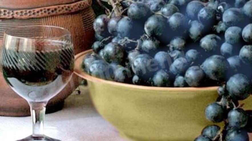 Рецепт домашнего вина из синего винограда