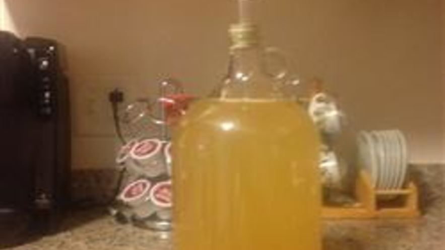 Рецепт домашнего вина из сока и сухих дрожжей