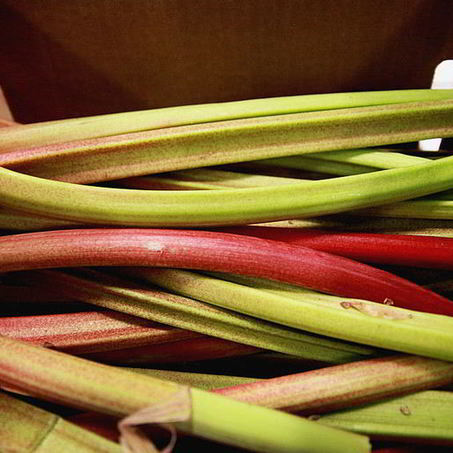 Рецепт Киселя из ревеня