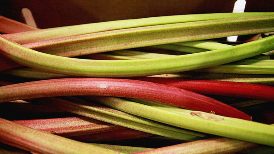 Рецепт киселя из ревеня