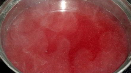 Рецепт сливового киселя