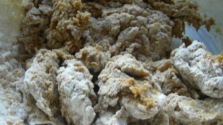 Рецепт хрустящих кофейных печений с шоколадом и грецкими орехами