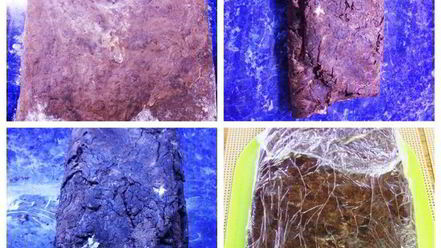 Рецепт наполеона с горьким шоколадом, кофе и миндальной пастой