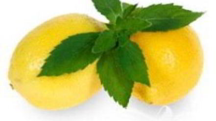 Рецепт коктейля лимончелло с шампанским