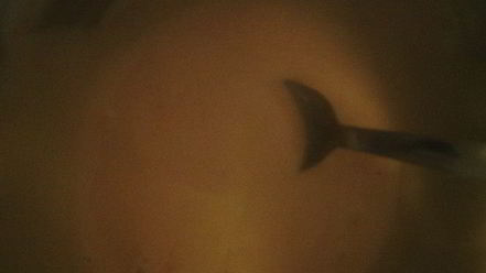 Рецепт коктейля из морепродуктов с розовым соусом