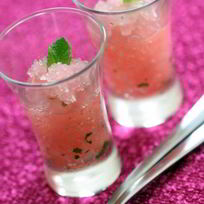 Грейпфрутовый шербет с водкой