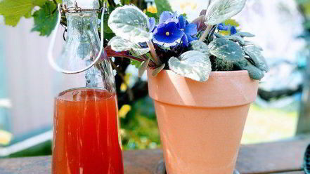 Рецепт коктейля для него и для нее