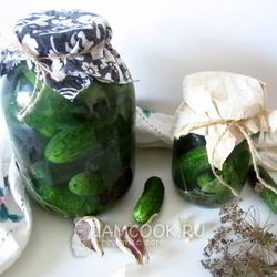 Рецепт Огурцов квашеных с водкой