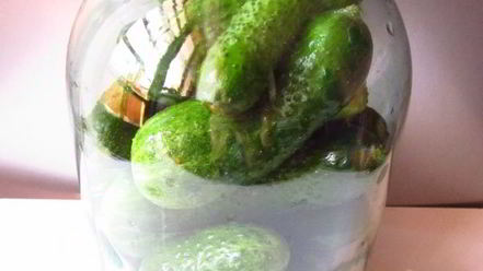 Рецепт огурцов квашеных с водкой