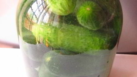 Рецепт огурцов квашеных с водкой