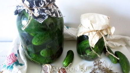 Рецепт огурцов квашеных с водкой