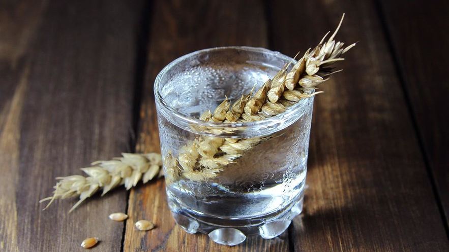 Рецепт водки из пшеницы