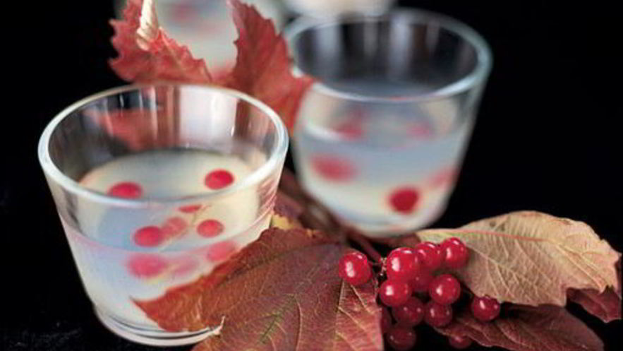 Рецепт желе с водкой и ягодами